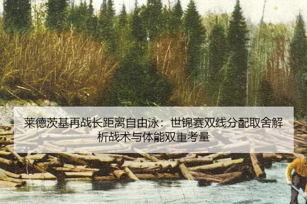 莱德茨基再战长距离自由泳：世锦赛双线分配取舍解析战术与体能双重考量